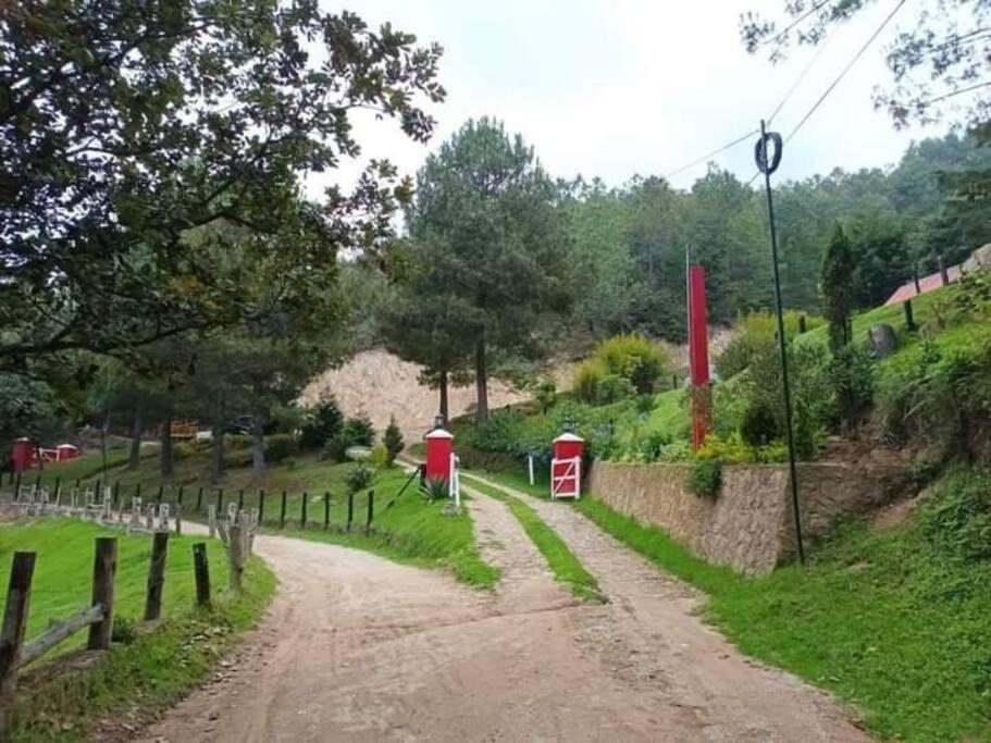 Finca Chuchiya Cabanas Tecpan Tecpán Guatemala 外观 照片