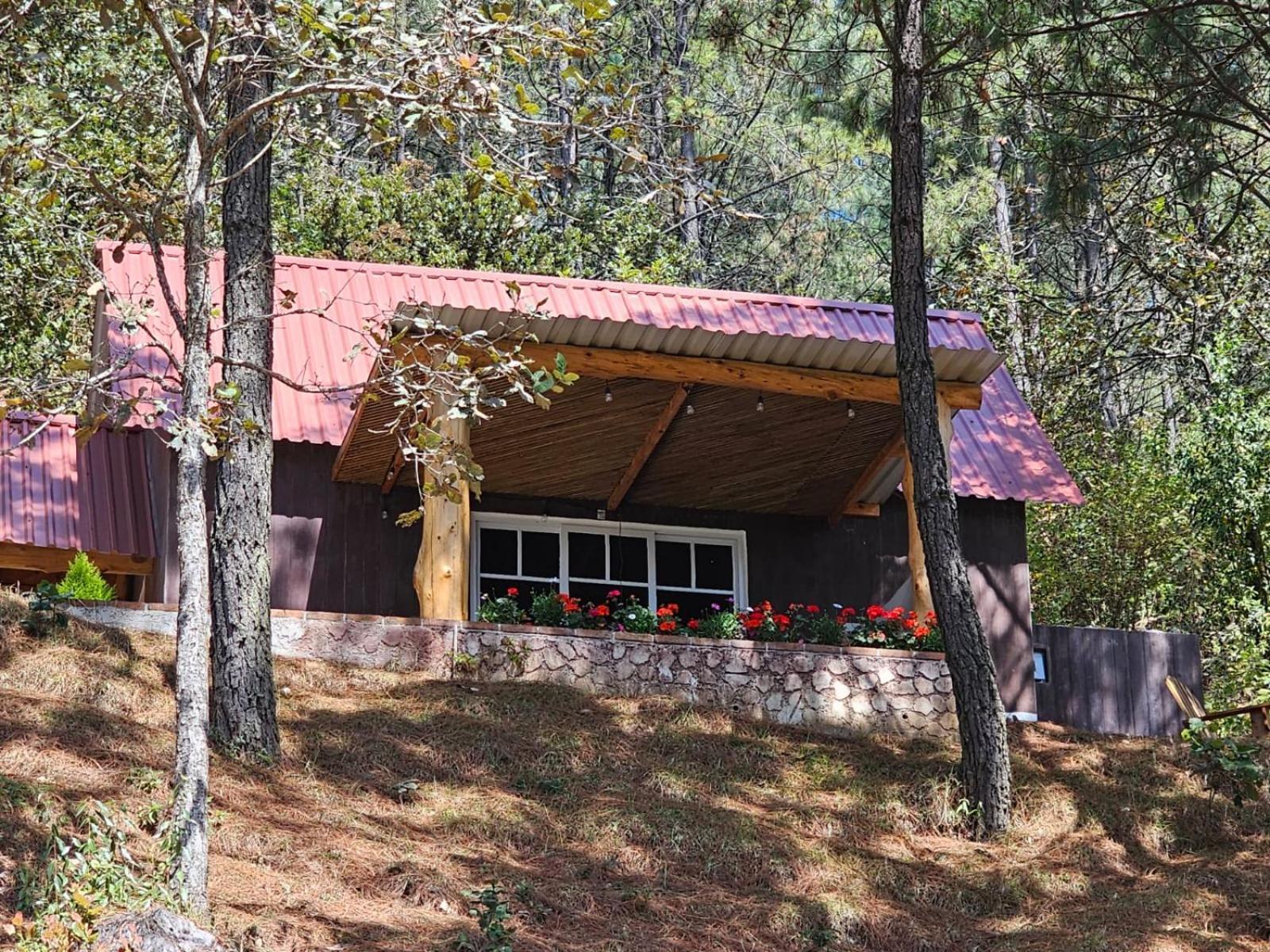 Finca Chuchiya Cabanas Tecpan Tecpán Guatemala 外观 照片
