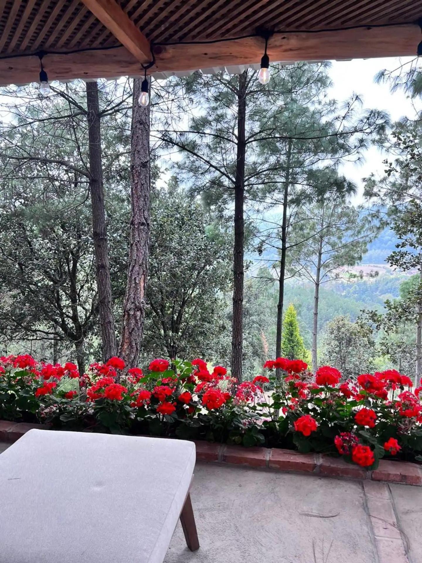 Finca Chuchiya Cabanas Tecpan Tecpán Guatemala 外观 照片