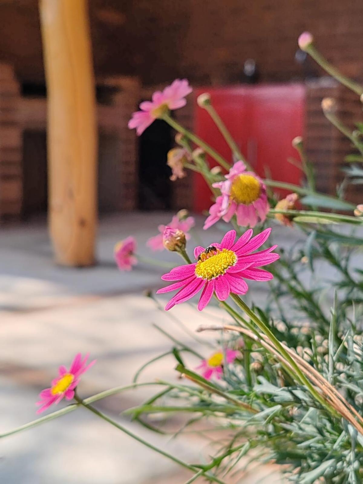 Finca Chuchiya Cabanas Tecpan Tecpán Guatemala 外观 照片