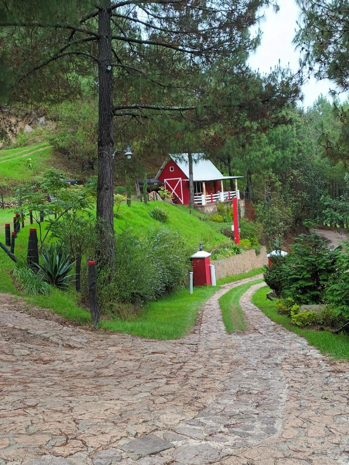 Finca Chuchiya Cabanas Tecpan Tecpán Guatemala 外观 照片